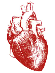 sleep apnea effects the heart