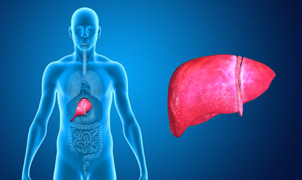 fatty-liver-disease-and-sleep-apnea