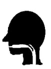 throat_icon